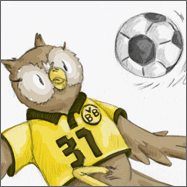lpblog_kroetschuhuu_fussball-eule-artikel