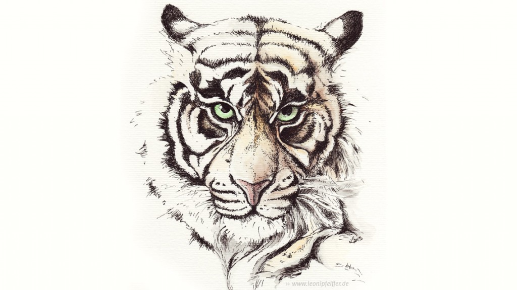 Tiger mit Tusche – Der Lauernde – Wallpaper