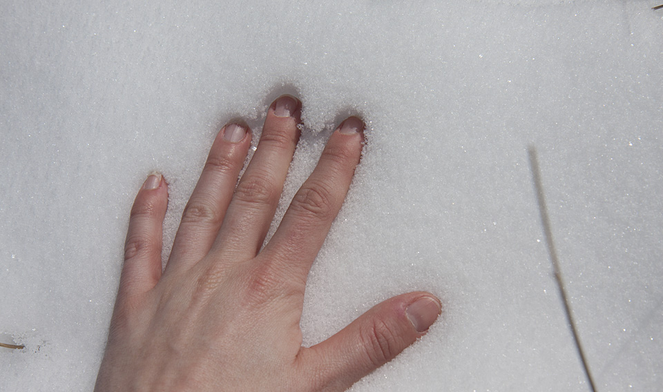 Hand im Schnee – Eiskalt und doch so lebendig.