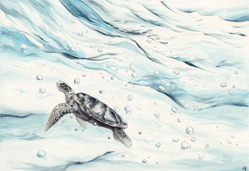 Die Meeresschildkröte lässt sich in den Wasserströmen treiben.