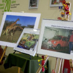 Foto-Safari und Sahnebonbon – schon so viele Themen wurden von uns gezeigt.