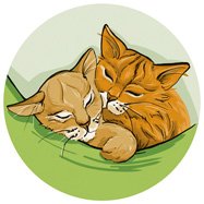 Digital Coloriert: zwei schlafende Katzen in einer Hängematte