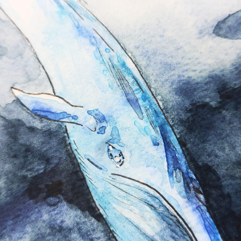Detail der vielen Farbspritzer in allen Blautönen auf der Haut des Blauwals.
