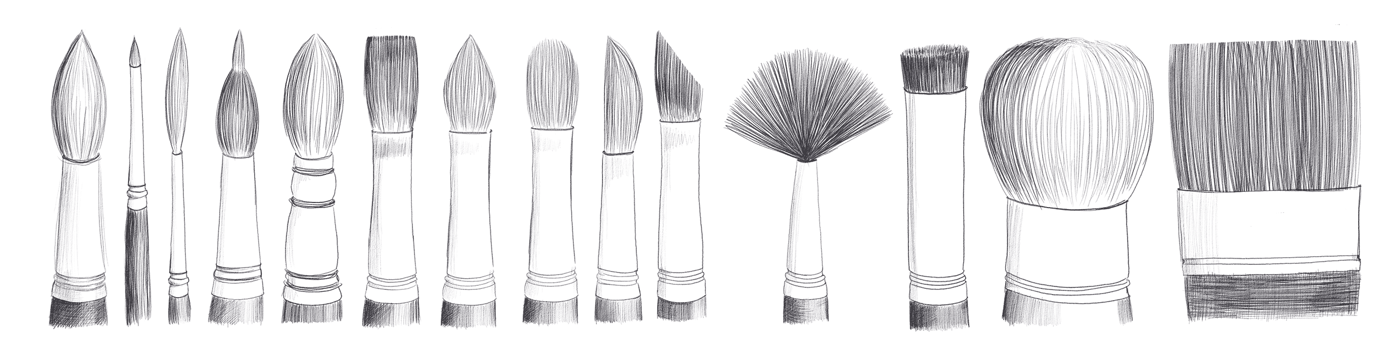 Pinsel gibt es in vielen Formen je nach dem gewünschten Einsatzbereich im Malen. Illustration: Anna Moser