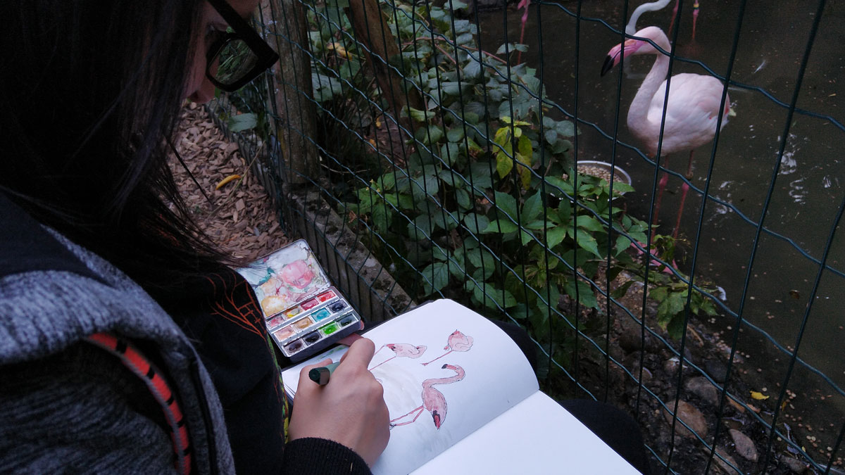 Kathrin und Annabel hatte es zum Schluss noch zu den Flamingos verschlagen.