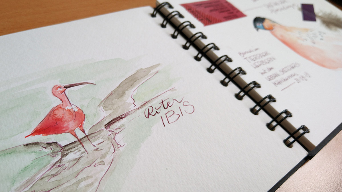 Der Rote Ibis in meinem Aquarell-Skizzenbuch.