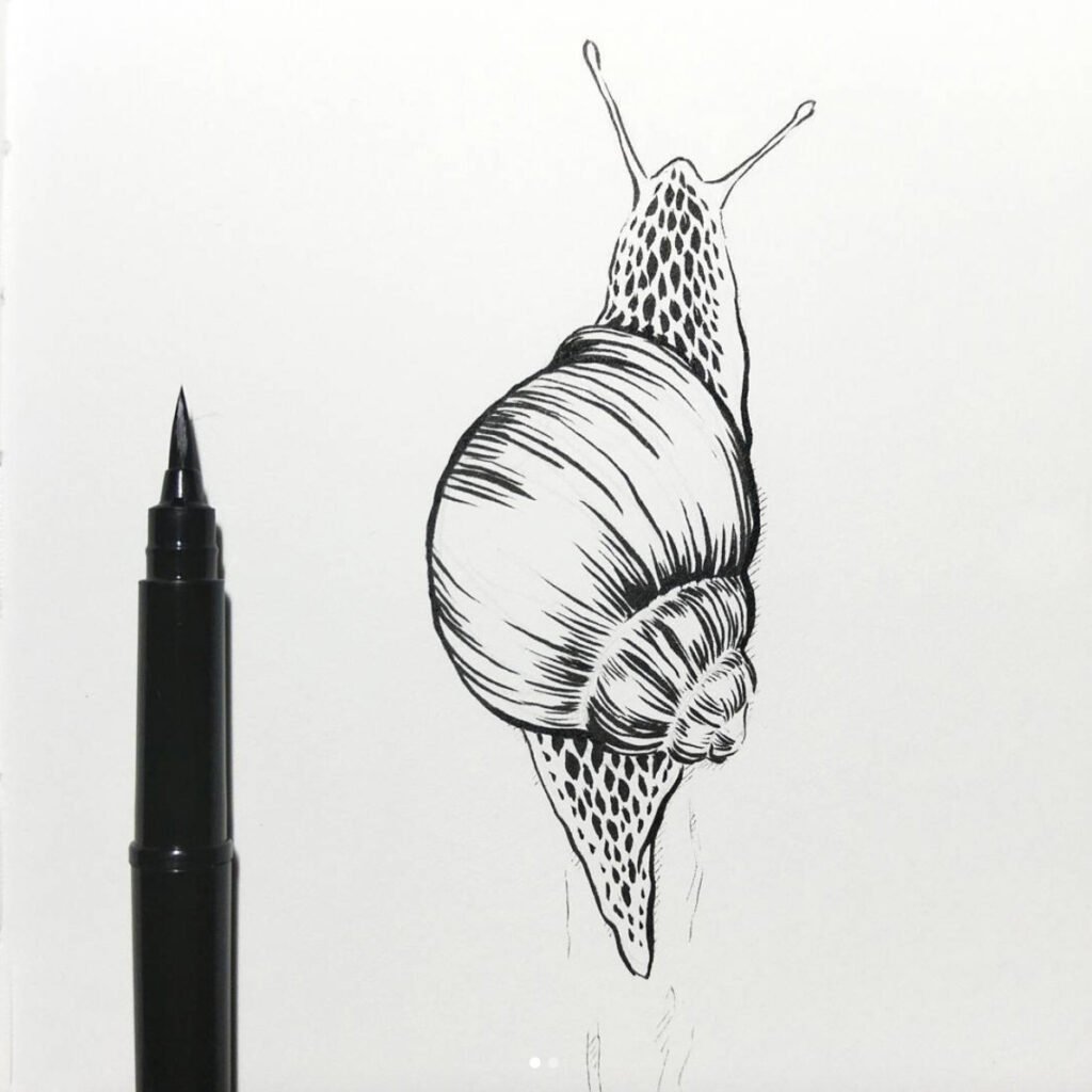 Inktober Zeichnung einer Schnecke mit dem Pentel Pocket Brush