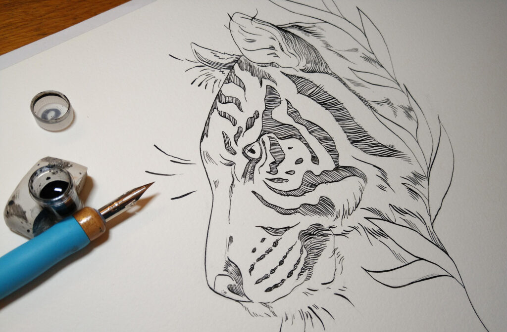 Tuschezeichnung eines Tigers mit Zeichenfeder auf Canson Aquarelle Grain fin, einem eher saugenden Papier mit Baumwollanteil.