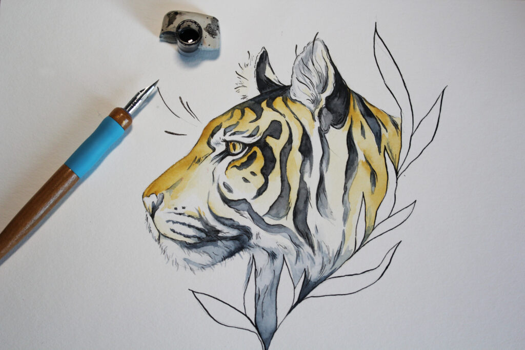 Fertige Illustration des Tigers mit Aquarellfarben und Tuschelinien darüber. Diese werden auf dem vorher einmal nassen oder feuchten Papier etwas satter und kräftiger.