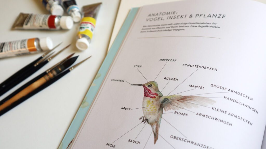 Die Anatomie von Vögeln, Insekten und Pflanzen wird kurz erklärt.