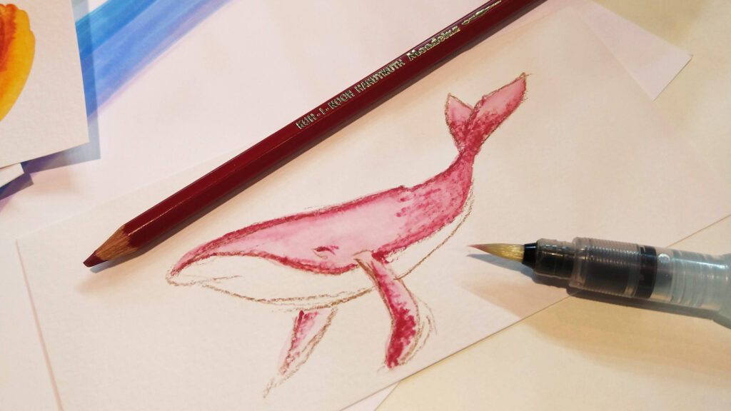 Ein weiterer schneller Wal gemalt mit einem Koh-I-Noor Mondeluz Aquarellstift gezeichnet.