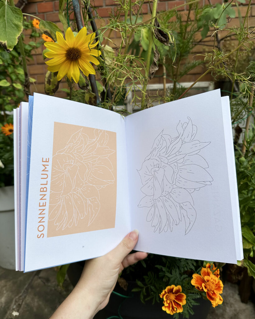 Blick ins Buch "Flowers": Die Outlines der Sonnenblume: einmal in weiß auf einer homogenen Farbfläche und in dunkelgrau auf weiß.